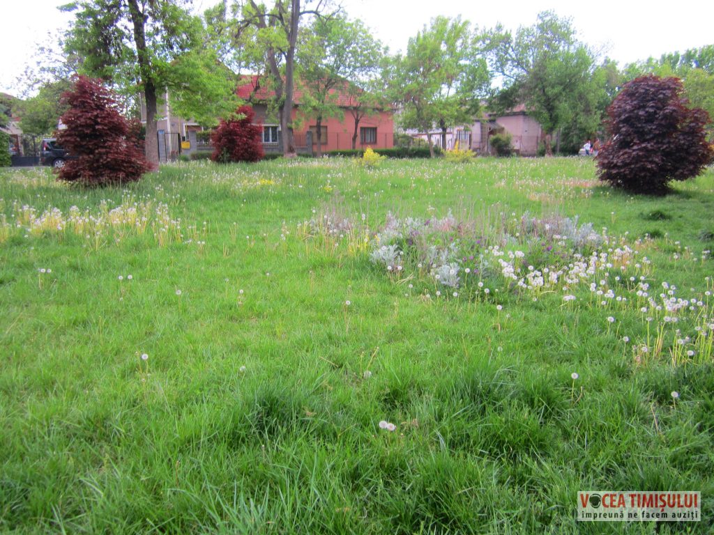 IMG 2926 IMG 2926