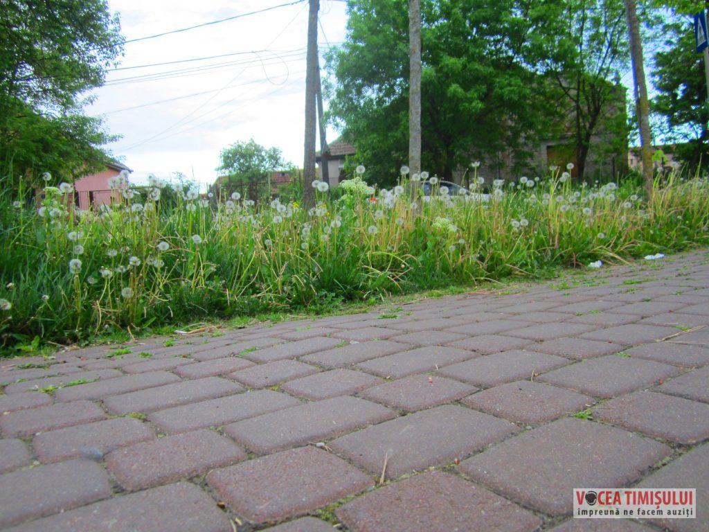IMG 2927 IMG 2927