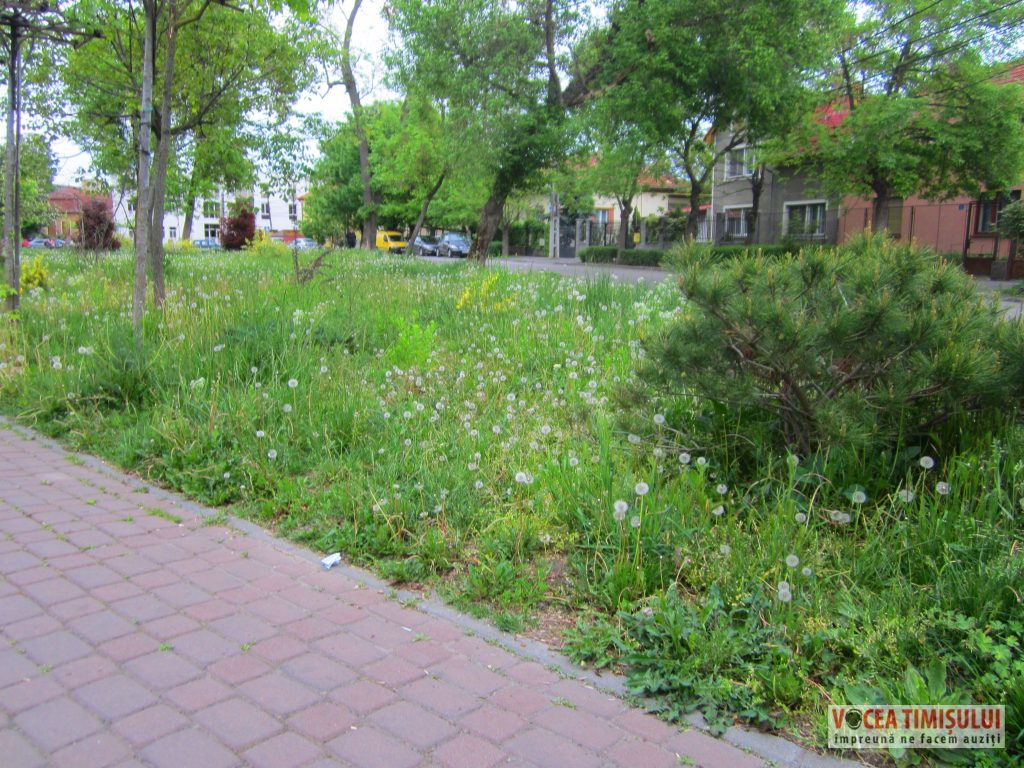 IMG 2928 IMG 2928