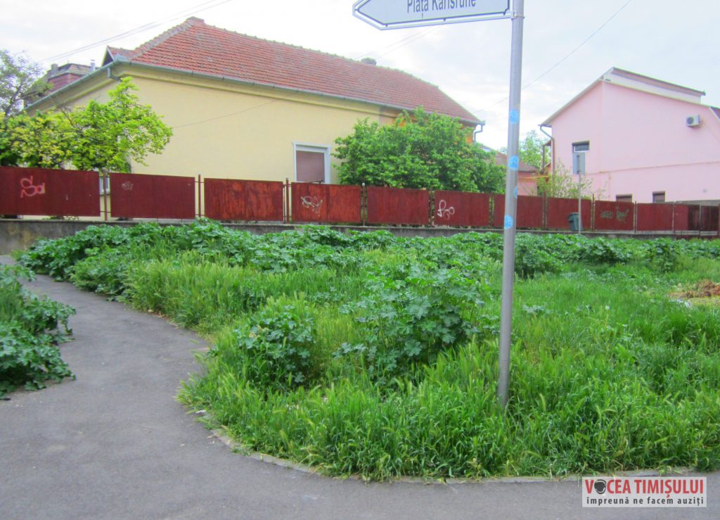 IMG 2934 IMG 2934