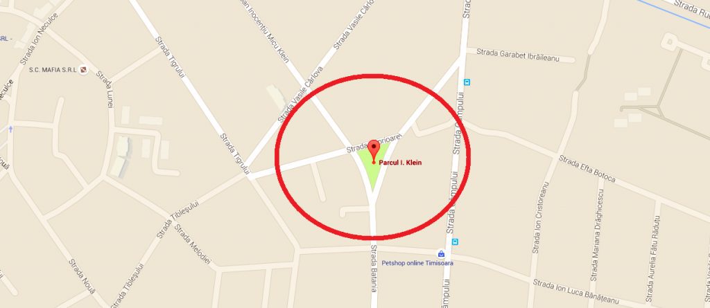 Parcul I. Klein e plin de BALARII si CAPUSE iar copii nu au unde se juca 11 Parcul I. Klein e plin de BALARII si CAPUSE iar copii nu au unde se juca 11