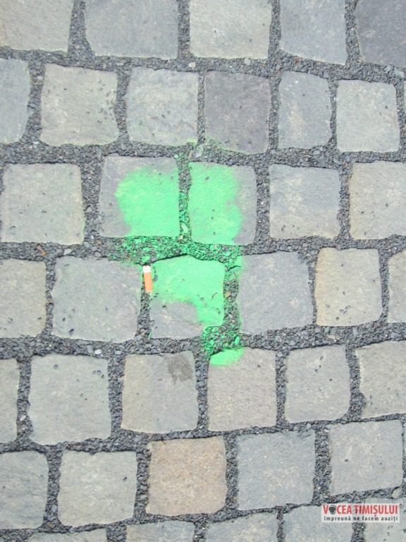 Piața Libertății din Timișoara ”invadată” de copaci2 Piața Libertății din Timișoara ”invadată” de copaci2