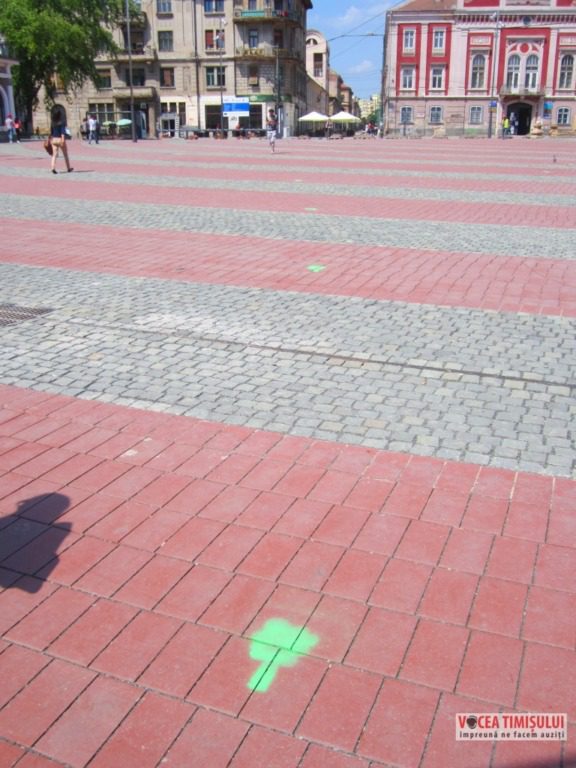Piața Libertății din Timișoara ”invadată” de copaci4 Piața Libertății din Timișoara ”invadată” de copaci4