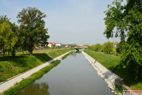 S-a făcut RECEPȚIA lucrărilor de consolidare a malurilor Begăi. Când vin vaporașele și cum a fost ”luat la rost” Titu Bojin VIDEO