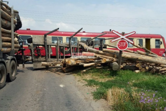 Autocamion din Caraș-Severin, plin cu lemne, LOVIT DE TREN lângă Lovrin FOTO