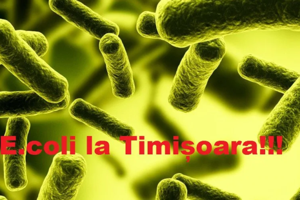 ATENȚIE timișoreni! Apa din fântânile publice, INFESTATĂ cu ”E.coli”. Unde sunt probleme și care fântâni au fost ÎNCHISE