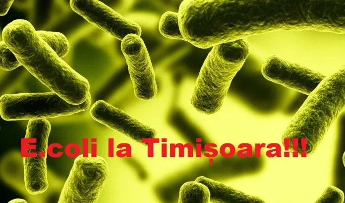 ATENȚIE timișoreni! Apa din fântânile publice, INFESTATĂ cu ”E.coli”. Unde sunt probleme și care fântâni au fost ÎNCHISE E.coli in apa fantanilor publice din Timisoara jpg