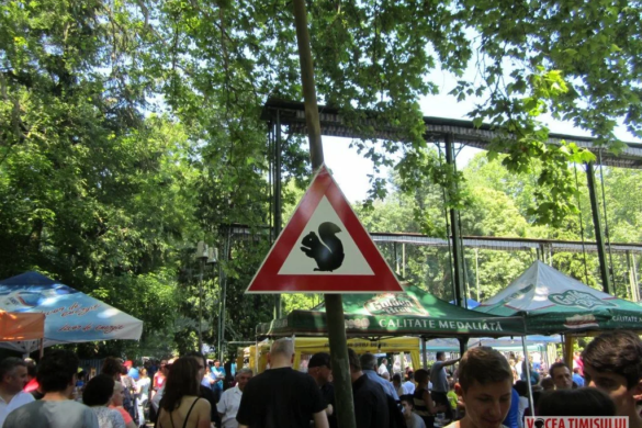 Festivalul ”Zilele Veverițelor” de la Buziaș, o REUȘITĂ de la prima ediție. Ce a ”stricat” atmosfera FOTO