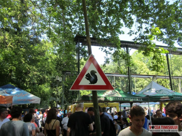 Festivalul ”Zilele Veverițelor” de la Buziaș o REUȘITĂ 8 jpg