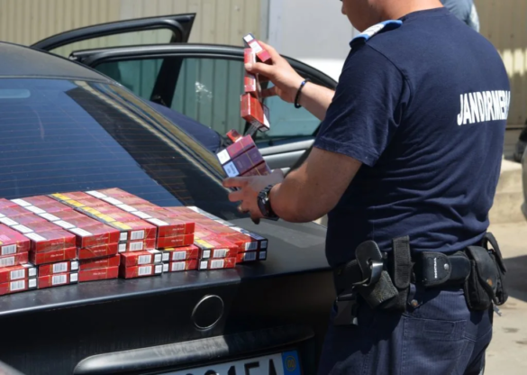Jandarmii Grupării Mobile din Timișoara au dat BUZNA peste contrabandiștii din Reșița tigari jpg