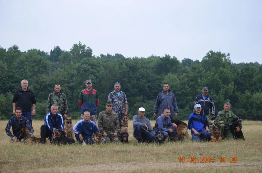 Jandarmii-timișoreni-alături-de-câinii-de-serviciu-în-tabără-la-Giroc-1