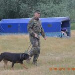 Jandarmii-timișoreni-alături-de-câinii-de-serviciu-în-tabără-la-Giroc-3