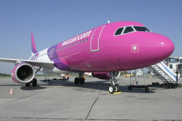 Avionul care pleca de la Timișoara înspre Charleroi, ÎNTORS după ce o pasăre l-a lovit înaintea decolării