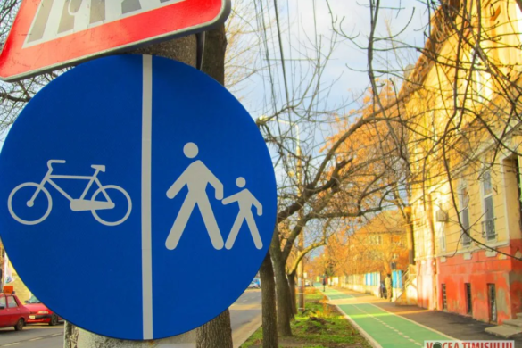 Verde pentru Biciclete vrea sa afle cu ce material se ”coloreaza” pistele de biciclete din Timisoara
