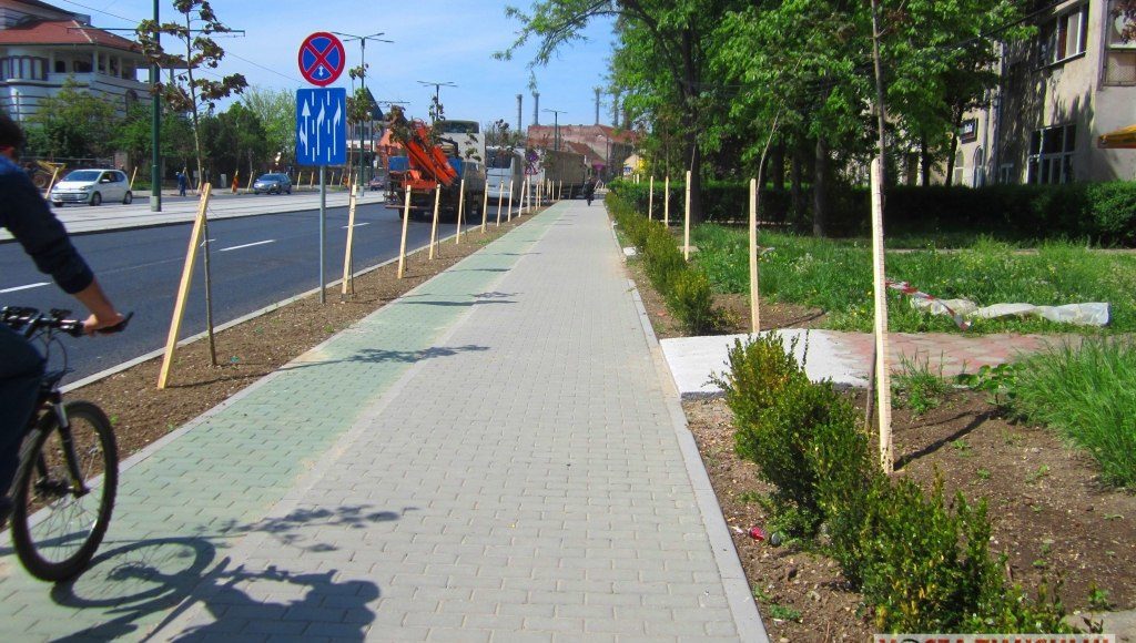 strada-patru-benzi-cu-pista-de-biciclete-si-copaci-plantati-Stefan-cel-Mare