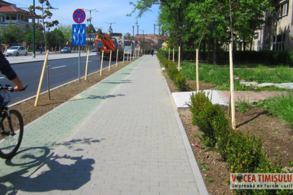 O firmă din Oradea proiectează lărgirea străzii M. C-tin Prezan. Câte sensuri giratorii NOI apar și cum se plantează copaci