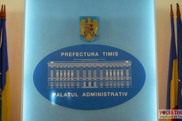 Angajaţii Prefecturii Timiş, scrisoare către premierul Grindeanu. Ce i-au cerut şi de ce au intrat în grevă