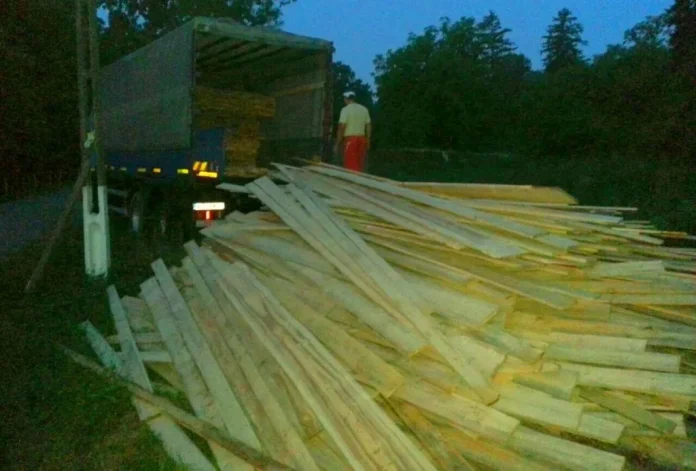 Zeci de metri cubi de lemn, confiscat de polițiștii din Timișoara și Lugoj. Vezi MOTIVUL!