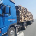 transportatorii-ilegali-de-lemn@1
