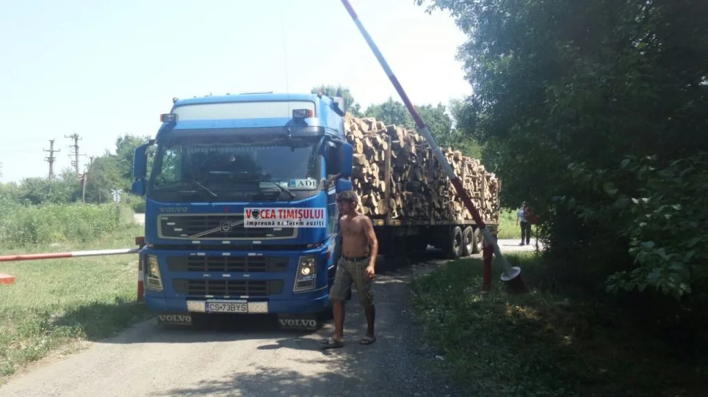 transportatorii-ilegali-de-lemn@3