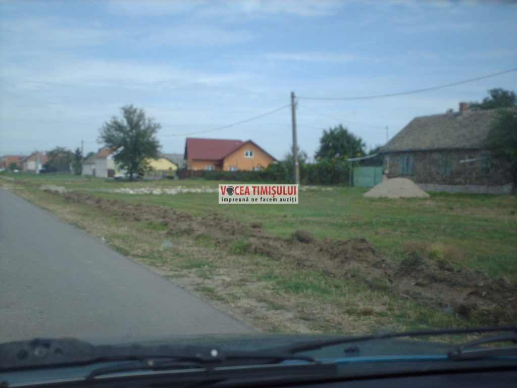 Misiune-imposibilă-la-Primăria-Sânnicolau-Mare-@03
