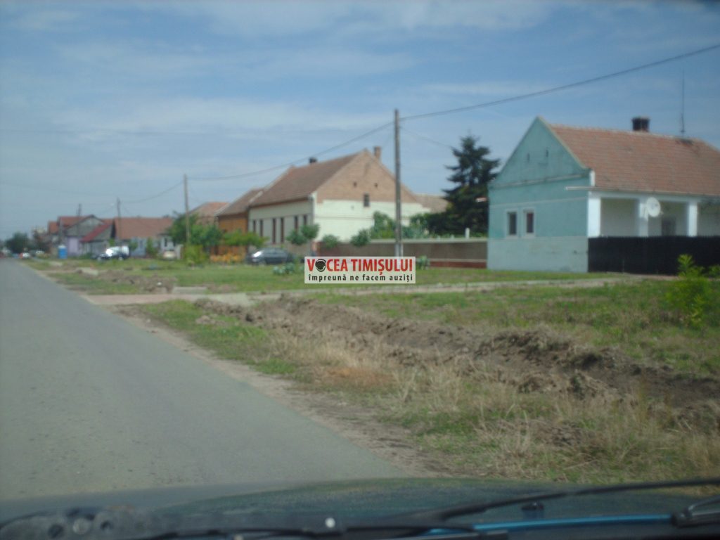 Misiune-imposibilă-la-Primăria-Sânnicolau-Mare-@06