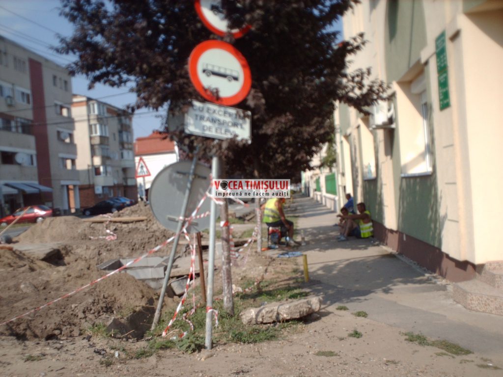 Misiune-imposibilă-la-Primăria-Sânnicolau-Mare-@12