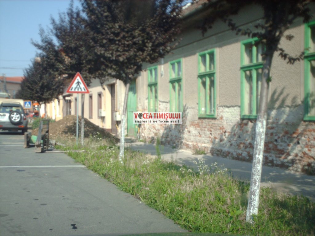 Misiune-imposibilă-la-Primăria-Sânnicolau-Mare-@14