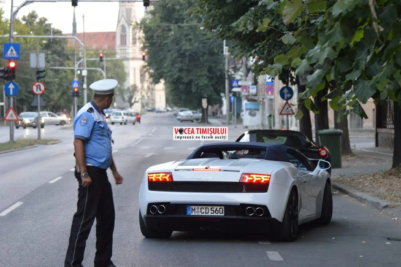 Paranghelie cu bolizi de milioane de euro, lângă Primăria Timișoara. Ce AMENZI au primit țiganii VIDEO/FOTO