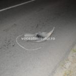 Accident-MORTAL-pe-drumul-ce-leagă-Timişoara-de-Peciu-Nou@10
