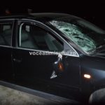Accident-MORTAL-pe-drumul-ce-leagă-Timişoara-de-Peciu-Nou@14