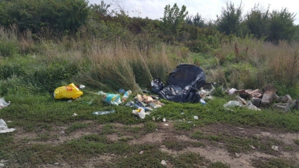 NESIMȚIREA unui șofer timișean1 NESIMȚIREA unui șofer timișean1