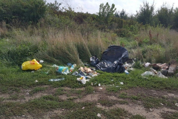 NESIMȚIREA unui șofer timișean, doar vârful AISBERGULUI dintr-o zonă unde zeci de kilograme de gunoaie zac aruncate