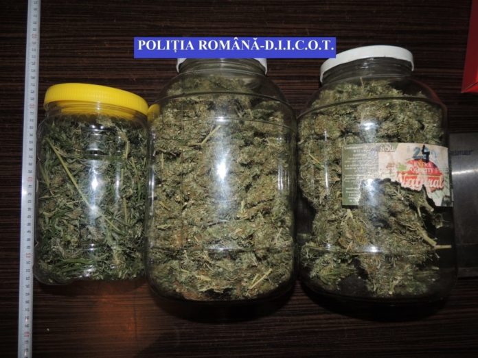 cannabis1