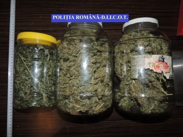 cannabis1 jpg cannabis1 jpg