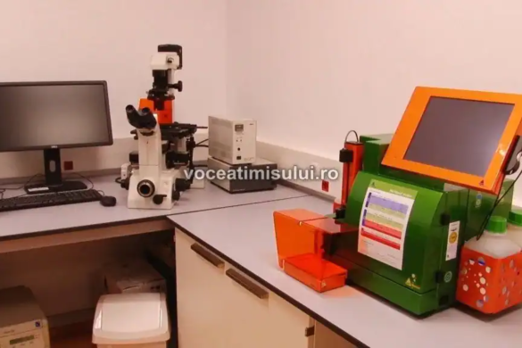 VIDEO Cercetătorii de la Oncogen caută, cu bani de la UE, leacul pentru alergia la ambrozie