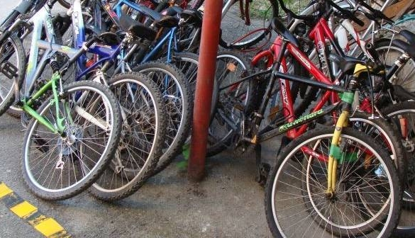 Tupeu cu repetiţie: amendaţi de două ori pentru că închiriau scurtere şi biciclete pe malurile Begăi, fără autorizaţie