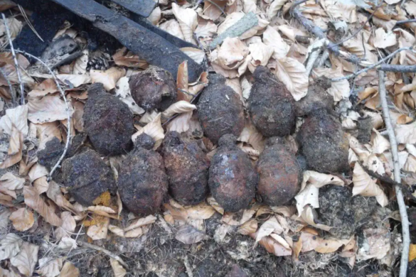 Opt grenade din Al doilea Război Mondial, descoperite la Șag