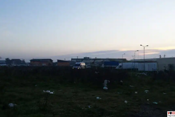 Descoperire MACABRĂ făcută de un paznic în spatele Pieței de Gross din Timișoara