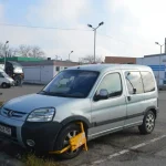 Ingerii Galbeni210 jpg