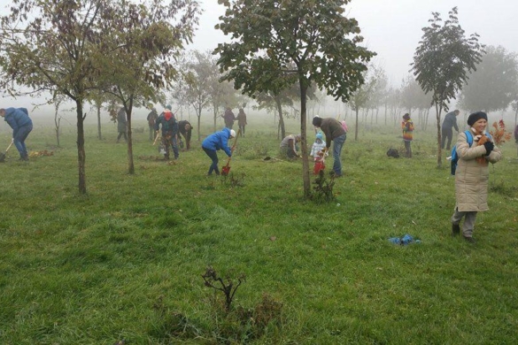 Timișoara, mai bogată cu 10.000 de copaci. Victimele din Colectiv nu au fost uitate nici de această dată