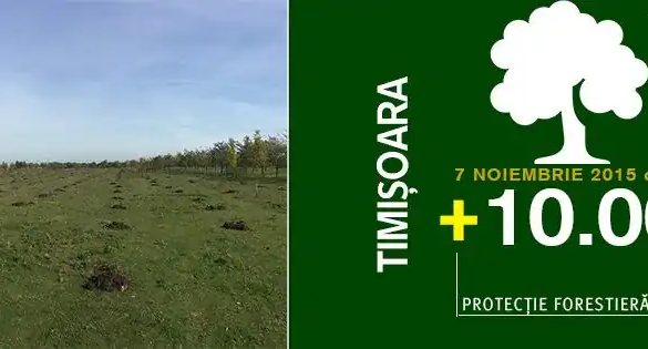 ZECE MII de copaci vor fi plantați la sfârșitul acestei săptămâni, în Timișoara