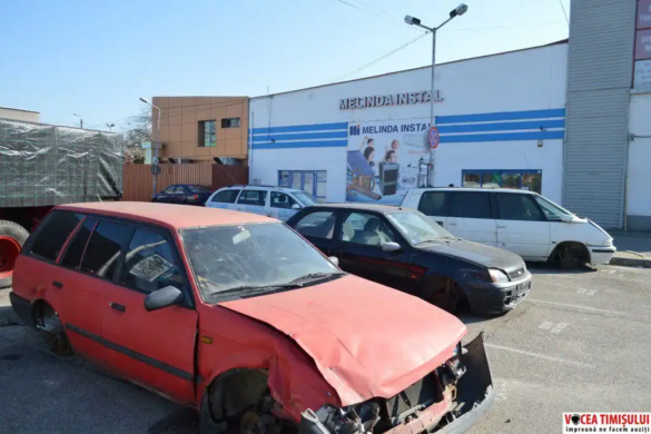 Îngerii Galbeni, penali până-n măduva ”aripilor”. De ce DOARME Poliția din Timișoara? FOTO/VIDEO