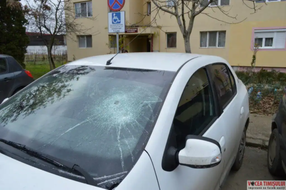 Elena Oana Voichiţoiu08 jpg