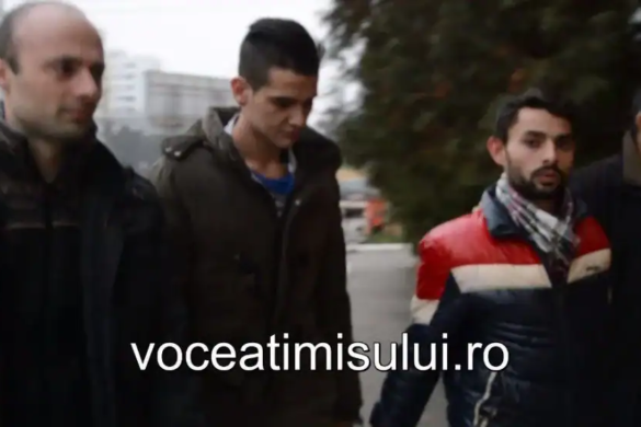 Tineri bănuiți de tâlhării și proxenetism, depistați de polițiști și introduși în arest