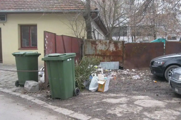 Timișorenii, SOMAȚI să-i denunțe pe cei care-și aruncă gunoaiele la voia întâmplării