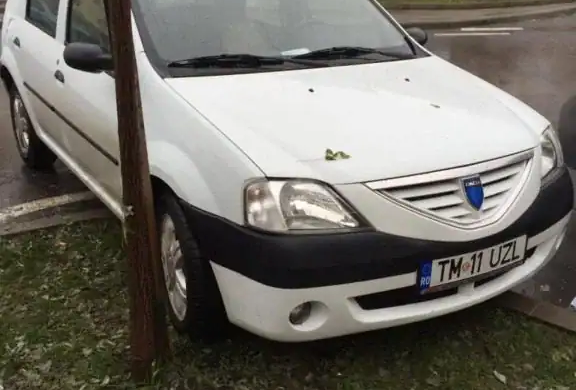 NESIMȚIRE crasă! Angajații ITM Timiș ”calcă” pe fondurile europene și distrug spațiile verzi FOTO
