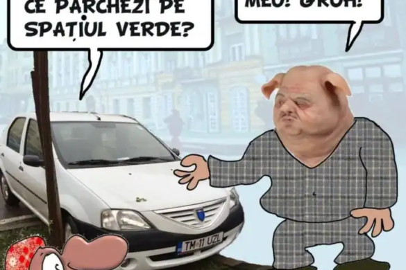 NESIMȚIRE crasă! Angajații ITM Timiș ”calcă” pe fondurile europene și distrug spațiile verzi