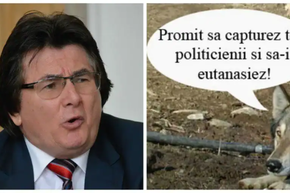 Eutanasierea cainilor fără stăpân din Timisoara, ilegala. Robu dă vina pe PSD pentru scandalul creat