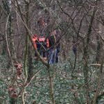 Un-bărbat-a-fost-găsit-spânzurat-de-un-copac-la-Pădurea-Verde-1